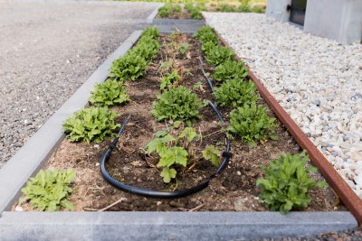 van der haar beregening tuin 14